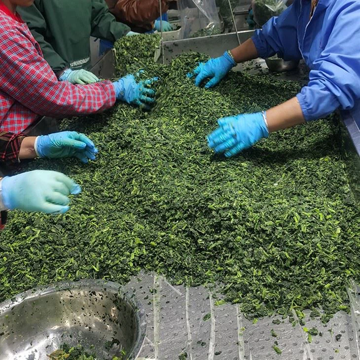 frozen spinach for sale
