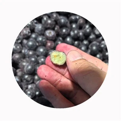 Sind gefrorene Blaubeeren besser als frische?