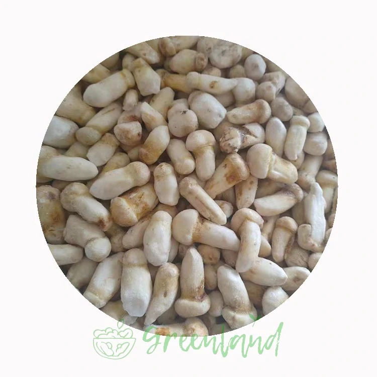 Frozen Matsutake Mushroom Factory - GreenLand-food Frozen Matsutake Mushroom Factory - GreenLand-food