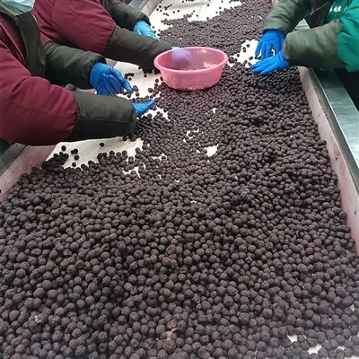 Iqf Wilde Blaubeeren